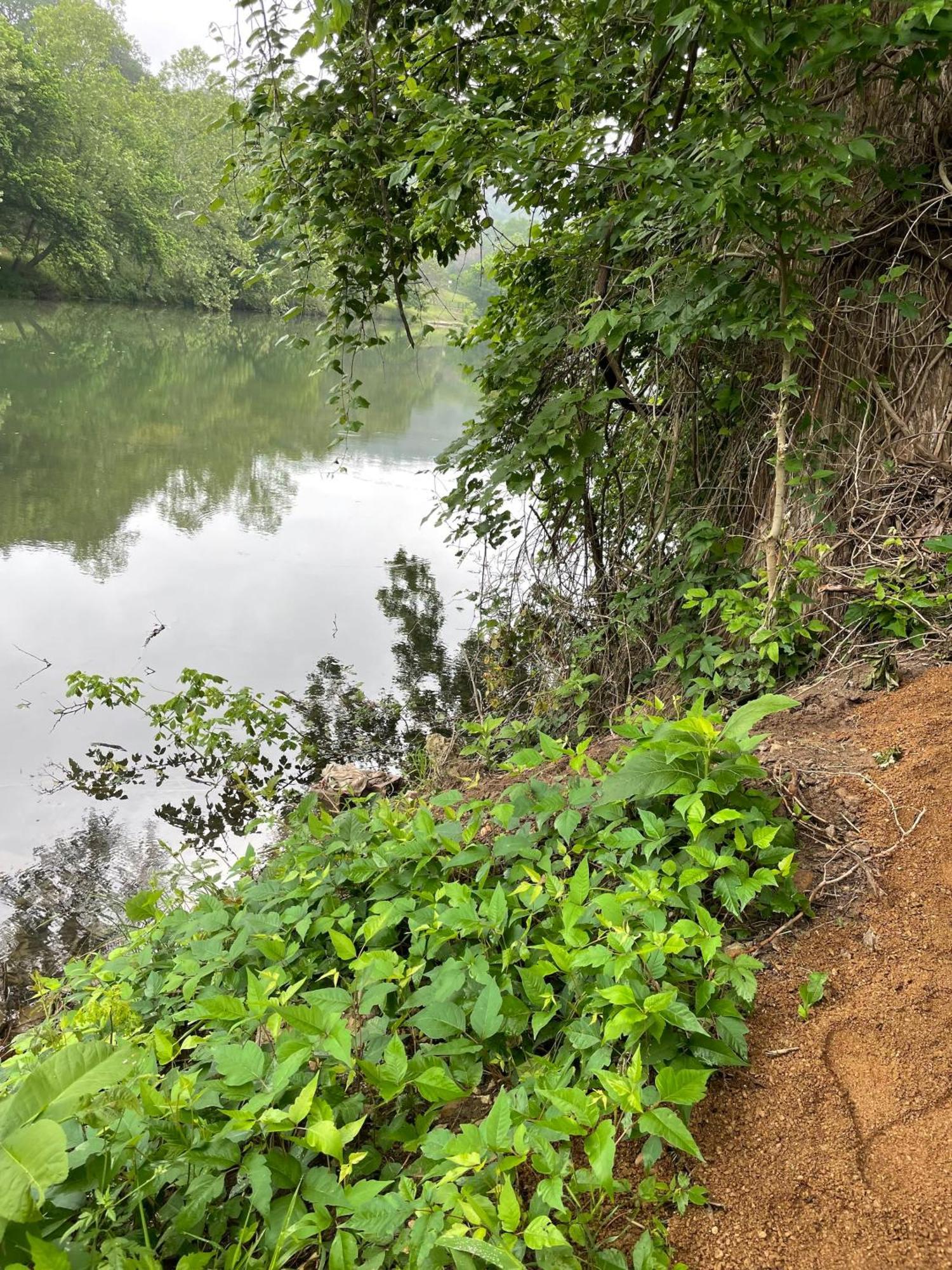 Pet Friendly Tiny House Rental With New Access To Guadalupe River Nbtx ニューブラウンフェルズ エクステリア 写真