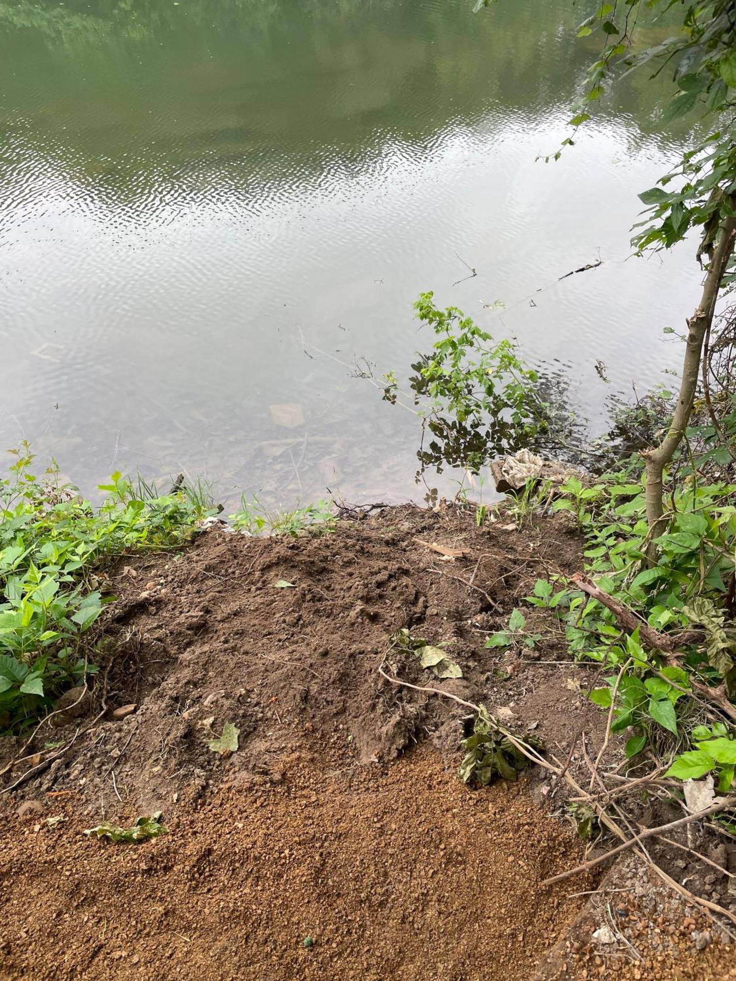 Pet Friendly Tiny House Rental With New Access To Guadalupe River Nbtx ニューブラウンフェルズ エクステリア 写真