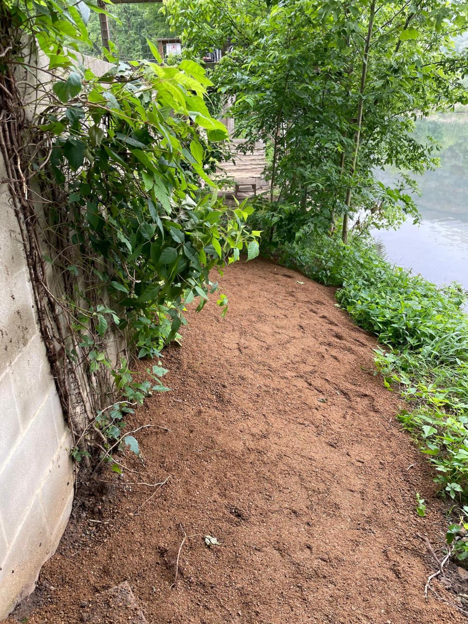 Pet Friendly Tiny House Rental With New Access To Guadalupe River Nbtx ニューブラウンフェルズ エクステリア 写真