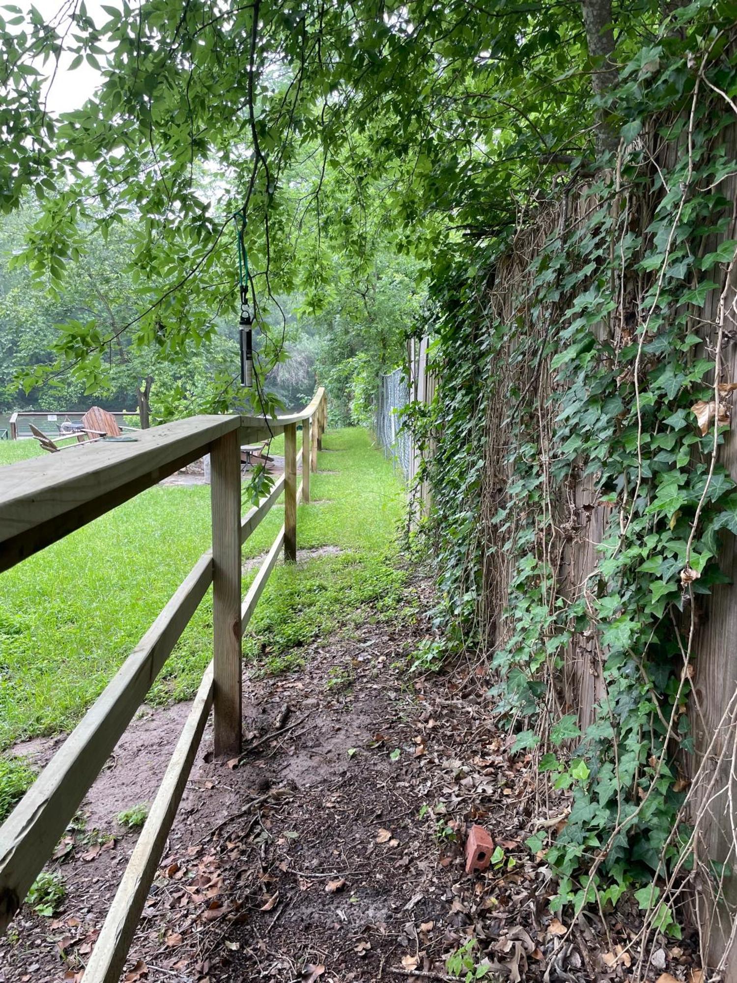 Pet Friendly Tiny House Rental With New Access To Guadalupe River Nbtx ニューブラウンフェルズ エクステリア 写真