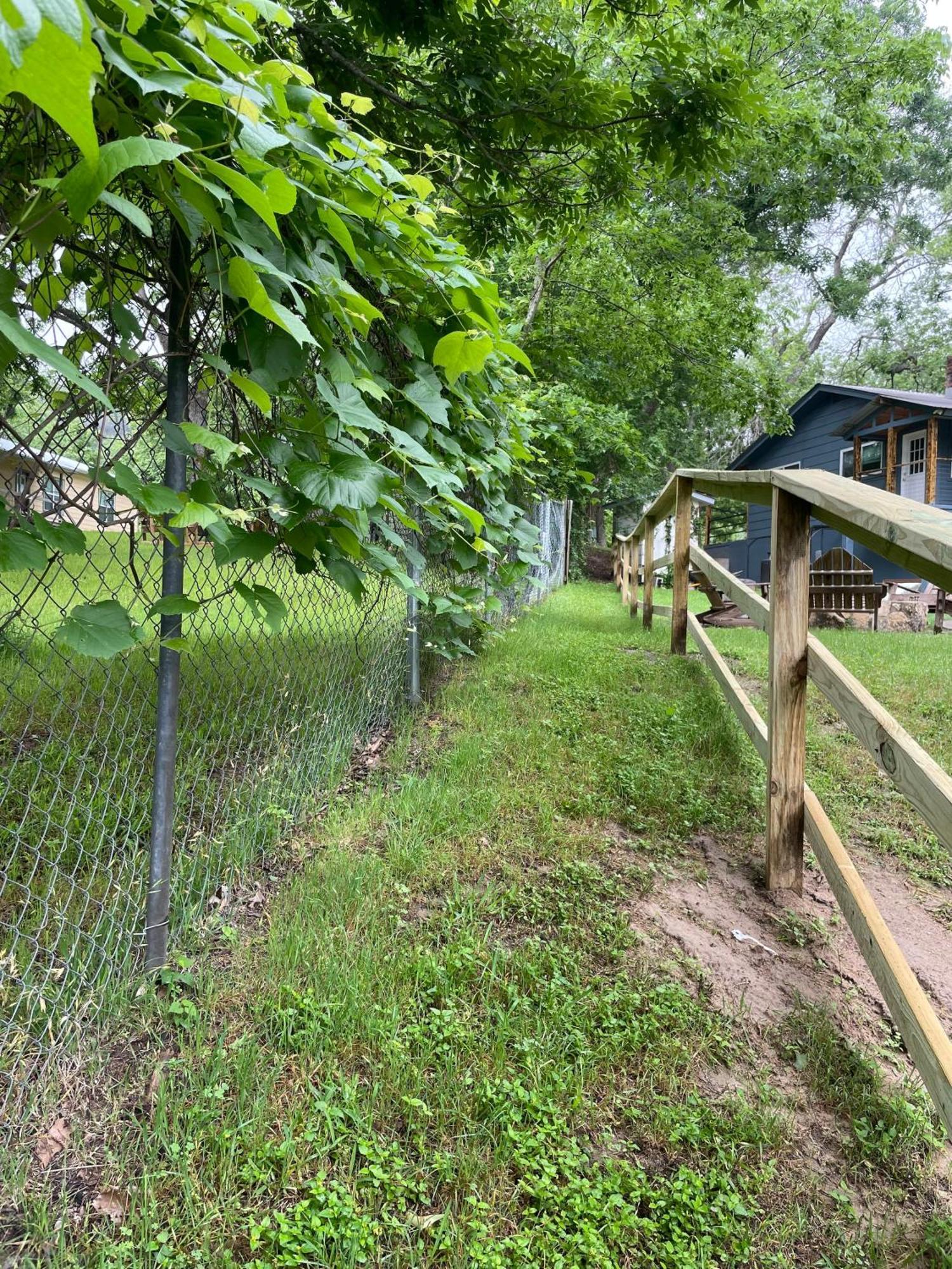 Pet Friendly Tiny House Rental With New Access To Guadalupe River Nbtx ニューブラウンフェルズ エクステリア 写真